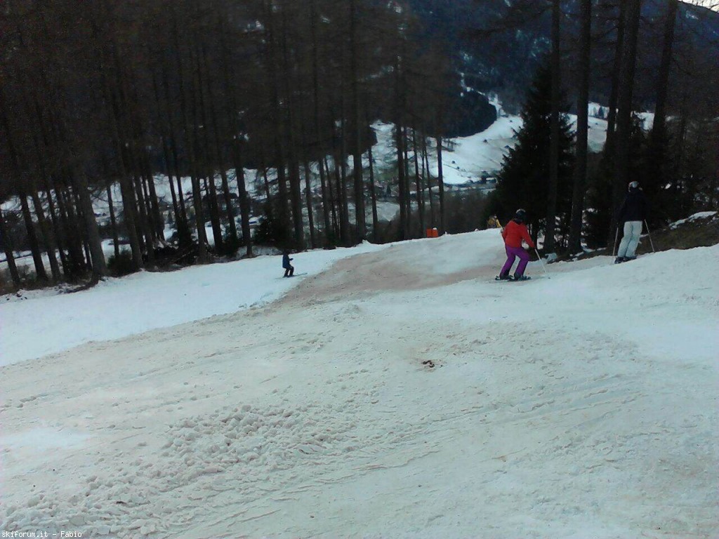 135990-img1438.jpg