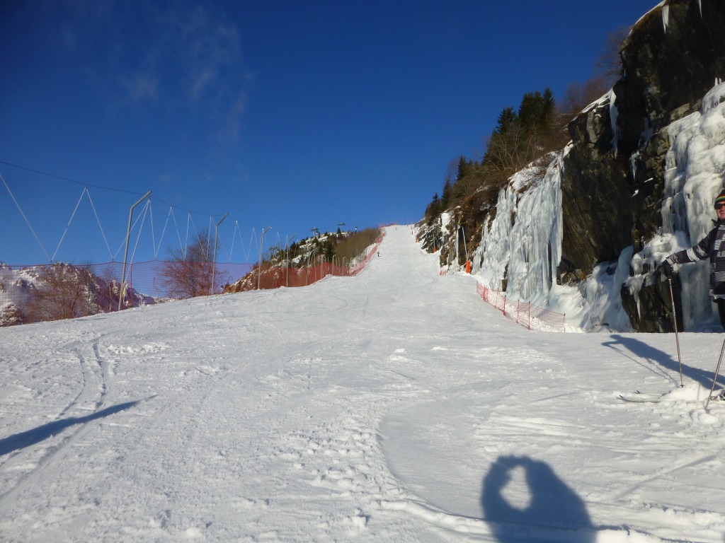 136910-p1010113.jpg