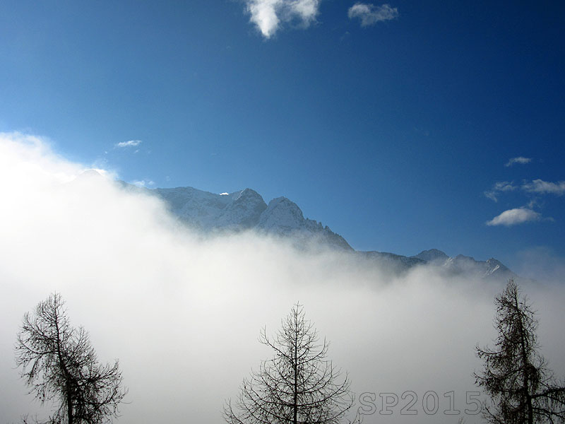 137324-impressioni-retiche-inverno-img3262.jpg