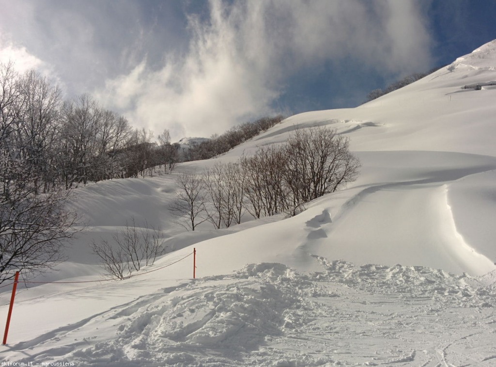 137585-hakuba-gennaio-2015-img20150103041559.jpg