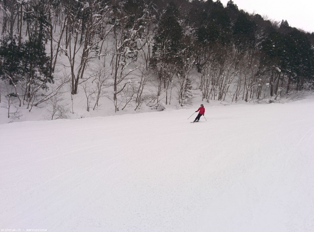 137605-hakuba-gennaio-2015-img20150104013646.jpg