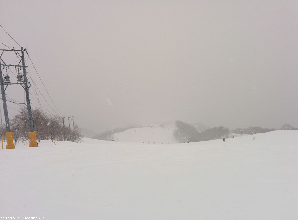 137610-hakuba-gennaio-2015-img20150104033545.jpg