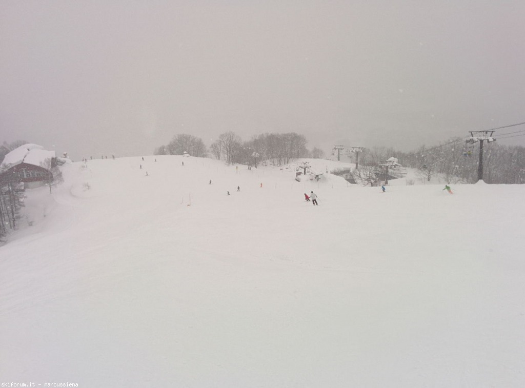 137611-hakuba-gennaio-2015-img20150104033956.jpg