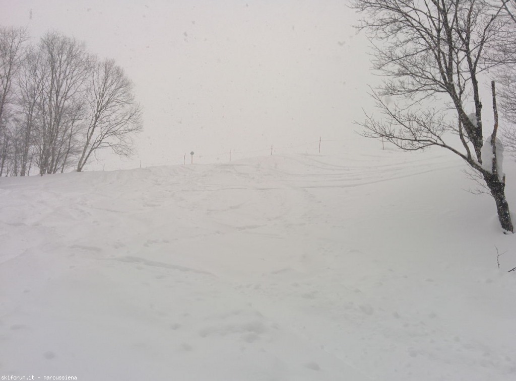 137613-hakuba-gennaio-2015-img20150104043626.jpg