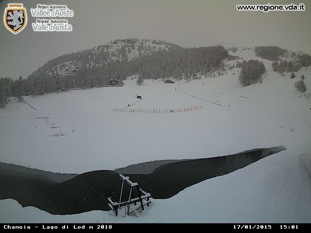 138036-bigchamois01.jpg