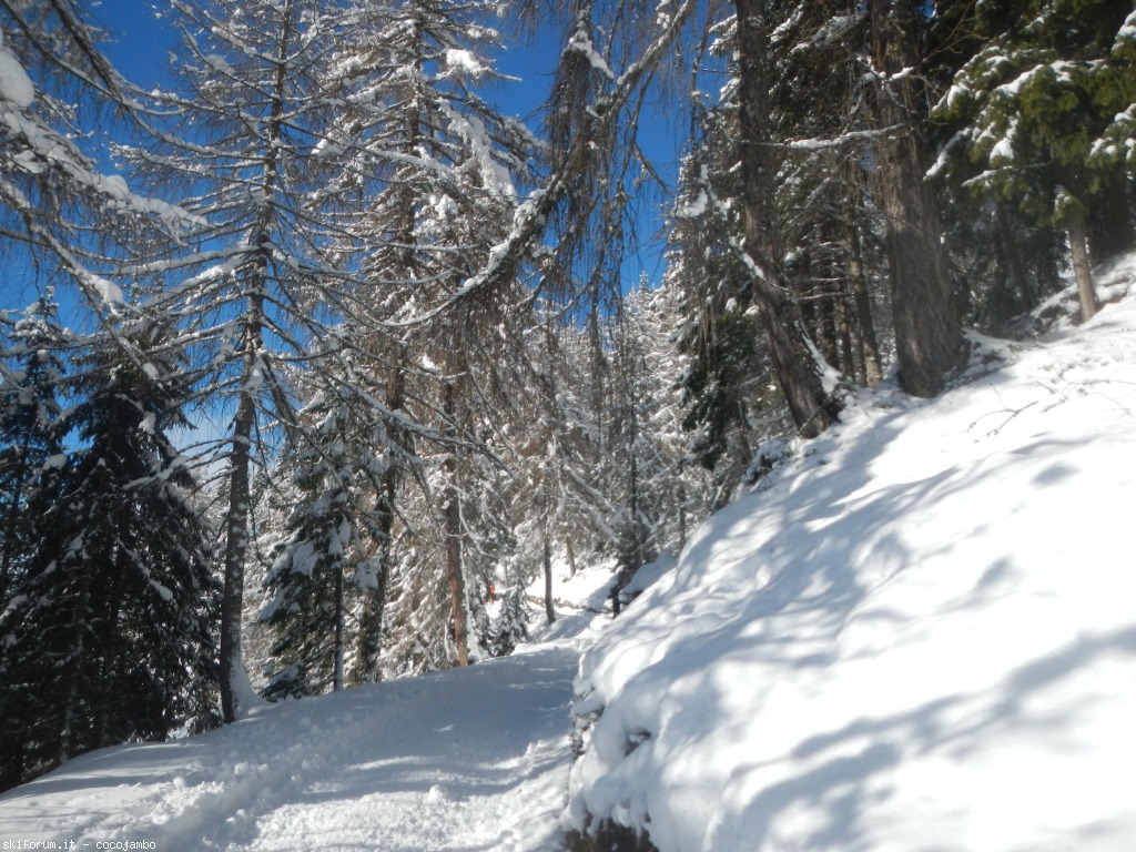138318-dscn0885.jpg