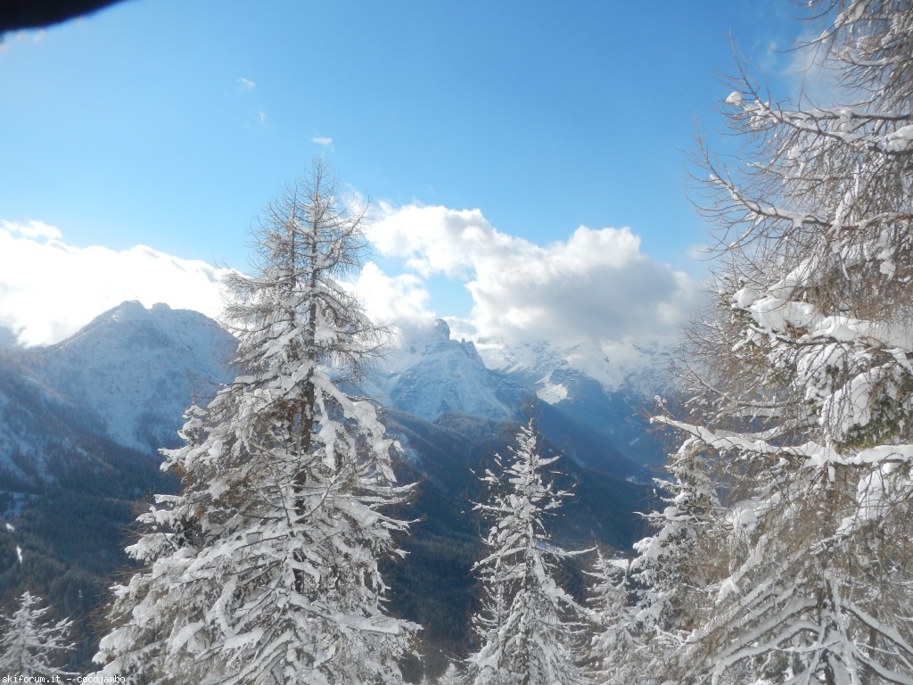138321-dscn0895.jpg