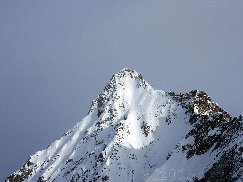 138418-wlf-cime-insolite-img3046.jpg