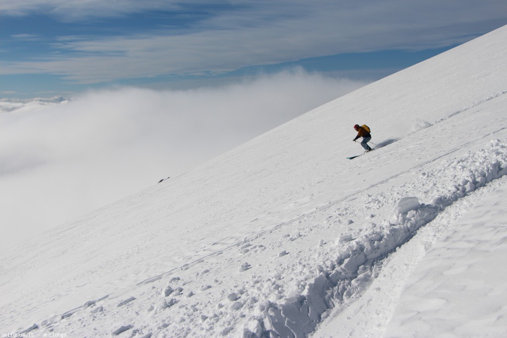 139036-img5918.jpg