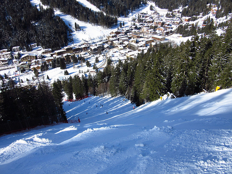 139281-campiglio-31.01.15-img4287.jpg