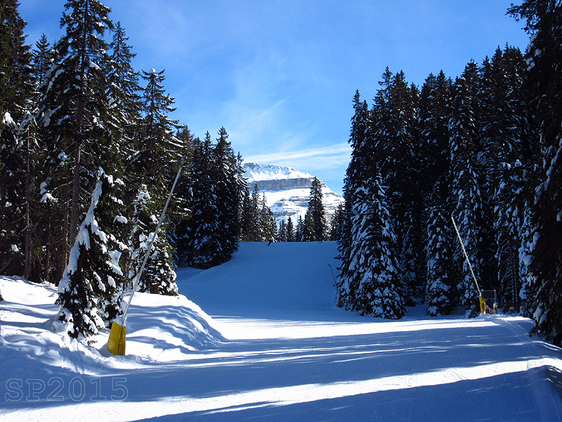 139283-campiglio-31.01.15-img4310.jpg