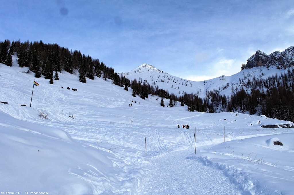 139493-image.jpg