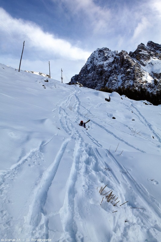 139498-image.jpg