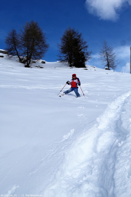139499-image.jpg