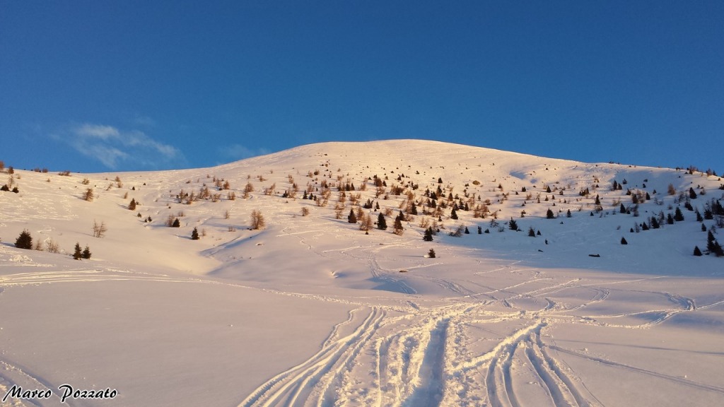 139885-20150208074039-1280x768.jpg