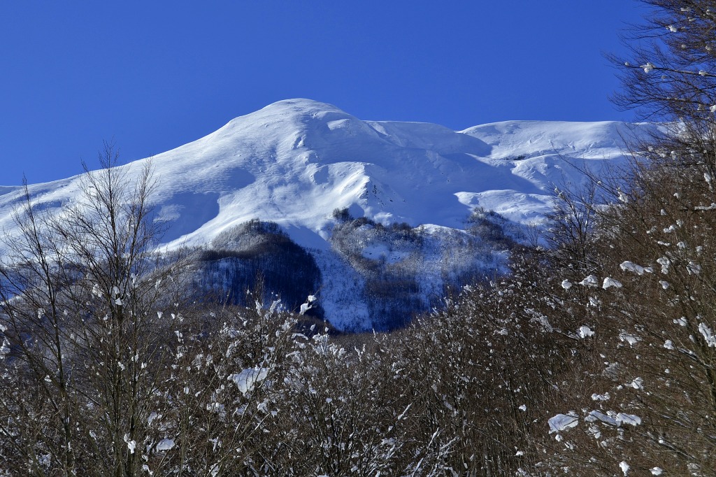 140001-dsc0319-copia.jpg