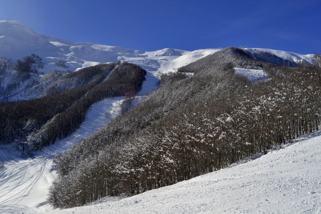 140006-dsc0350-copia.jpg