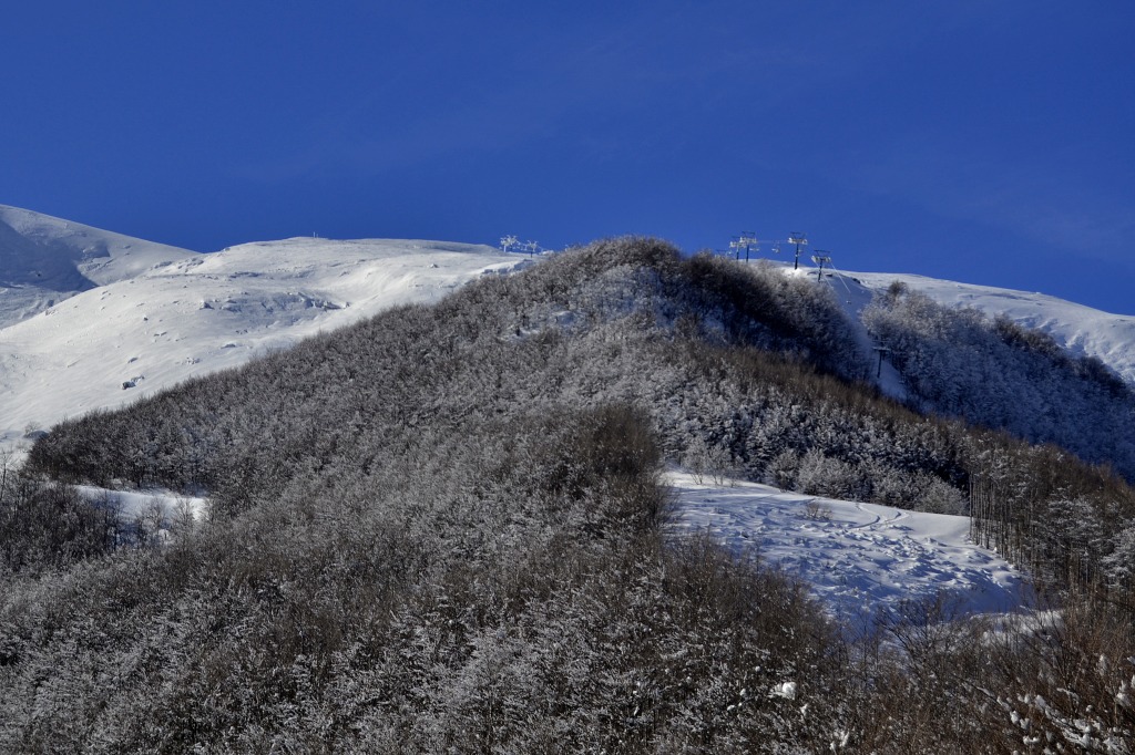 140007-dsc0354-copia.jpg