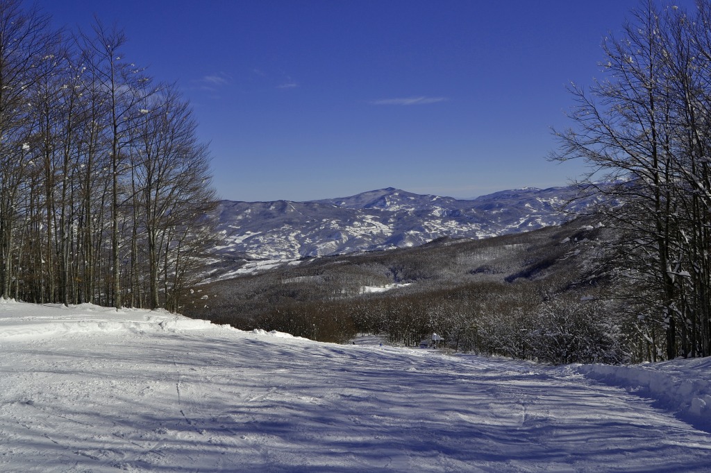 140008-dsc0355-copia.jpg
