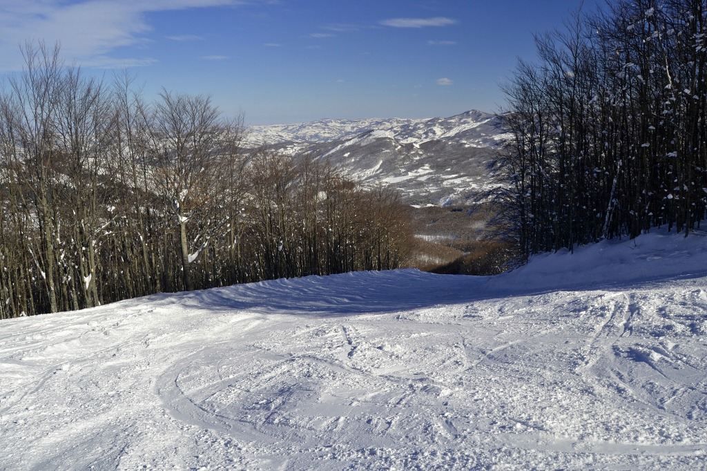140010-dsc0361-copia.jpg