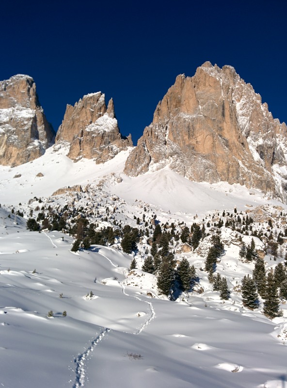 140165-dolomiti-img20150207093302.jpg