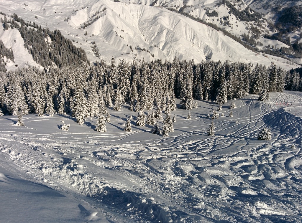 140169-dolomiti-img20150207103526.jpg