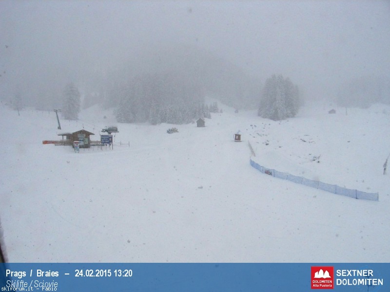 141389-neve-24-febbraio-2015-bild1.jpg
