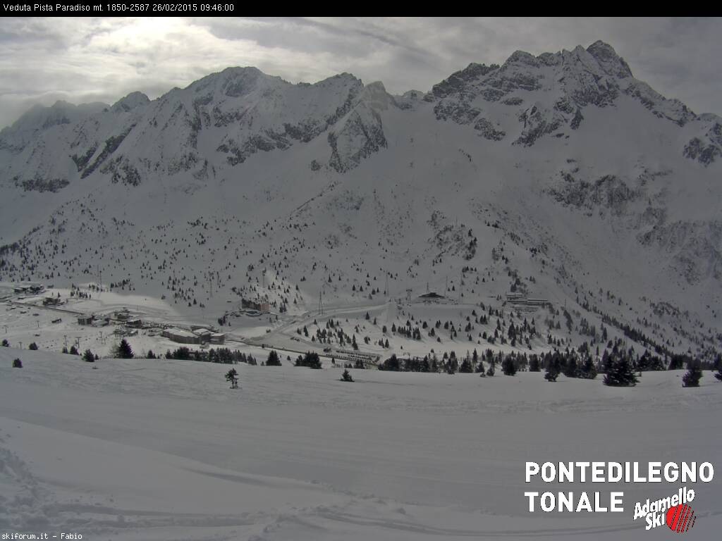 141482-webcam-neve-26-febb-2015-bleis.jpg