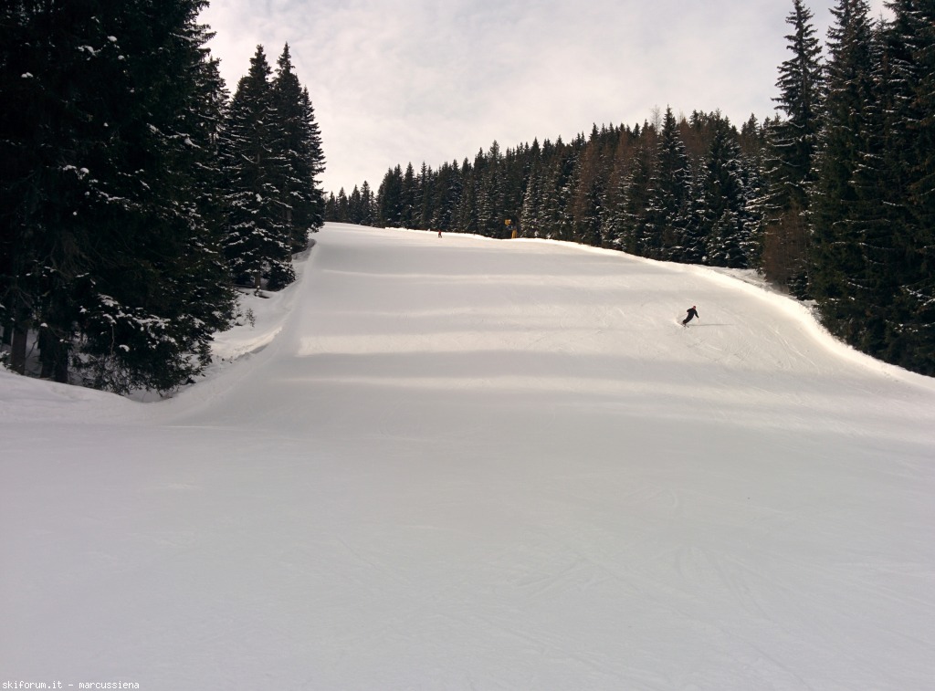 141893-zillertal-img20150226103318.jpg