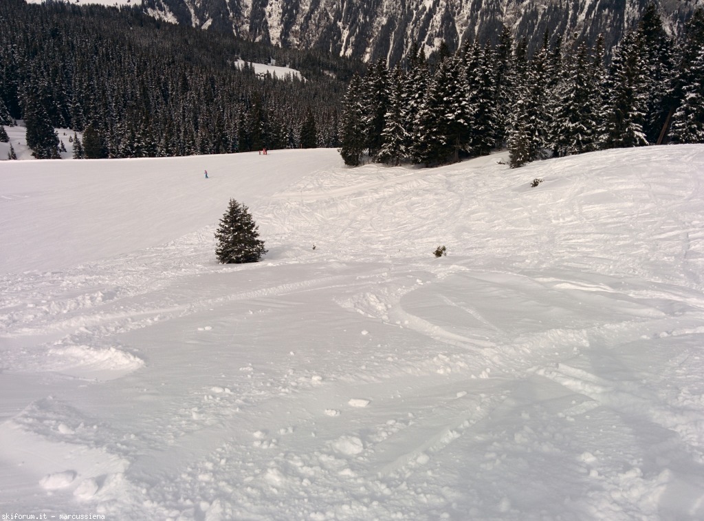 141901-zillertal-img20150226122238.jpg
