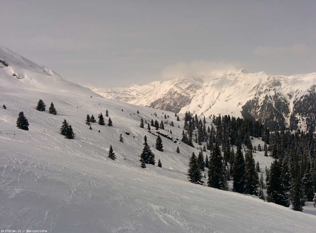 141904-zillertal-img20150226132617.jpg