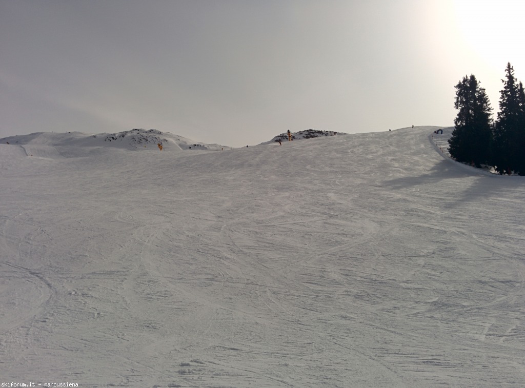 141908-img20150226135513.jpg