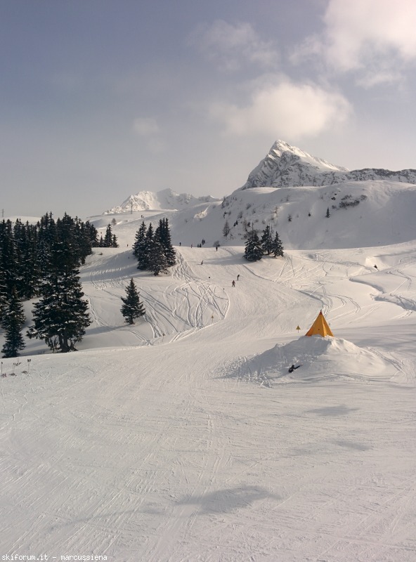 141910-img20150226142503.jpg