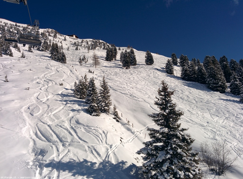 141924-img20150227110305.jpg