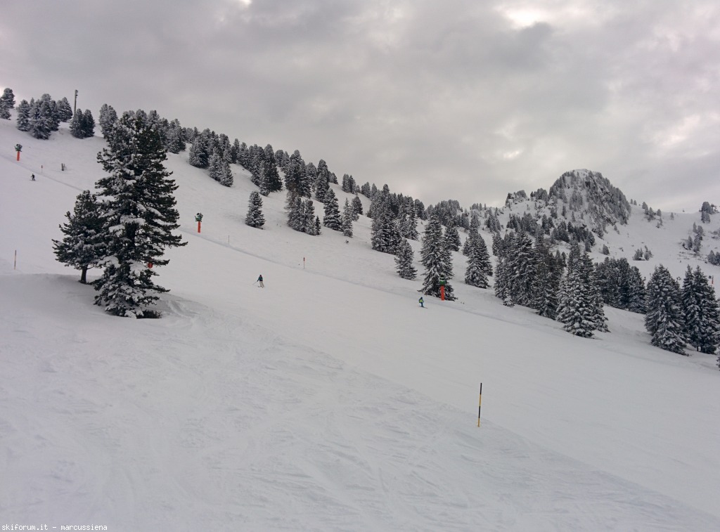 141928-img20150227121932.jpg