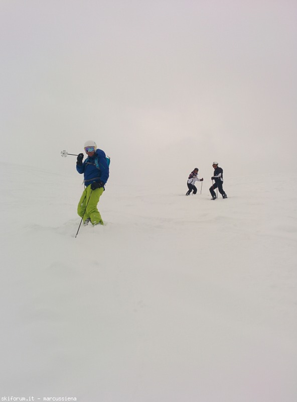141945-img20150228115626.jpg