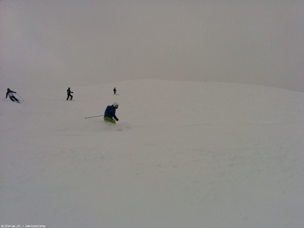 141946-img20150228115733.jpg