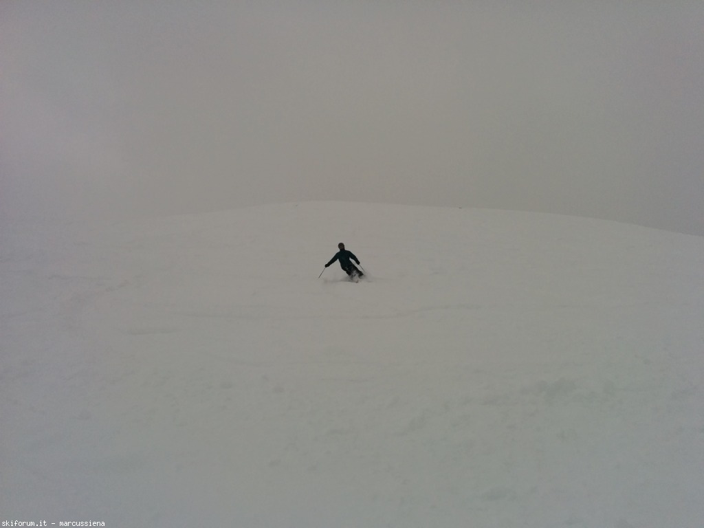 141949-img20150228115749.jpg