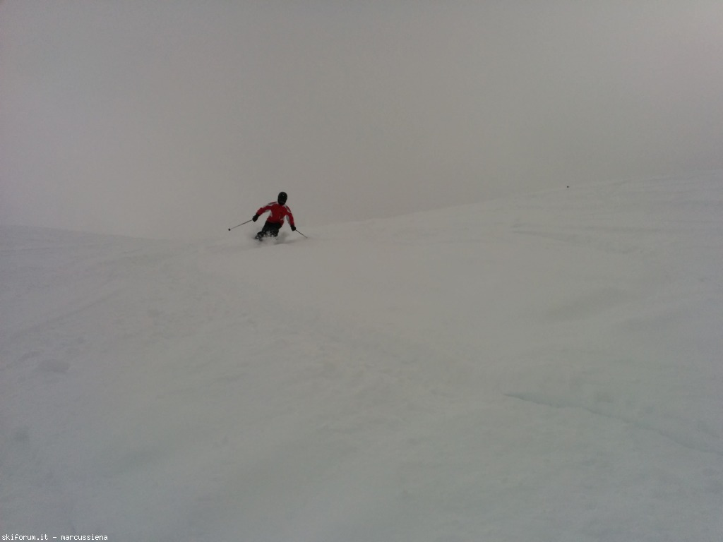 141953-img20150228123335.jpg