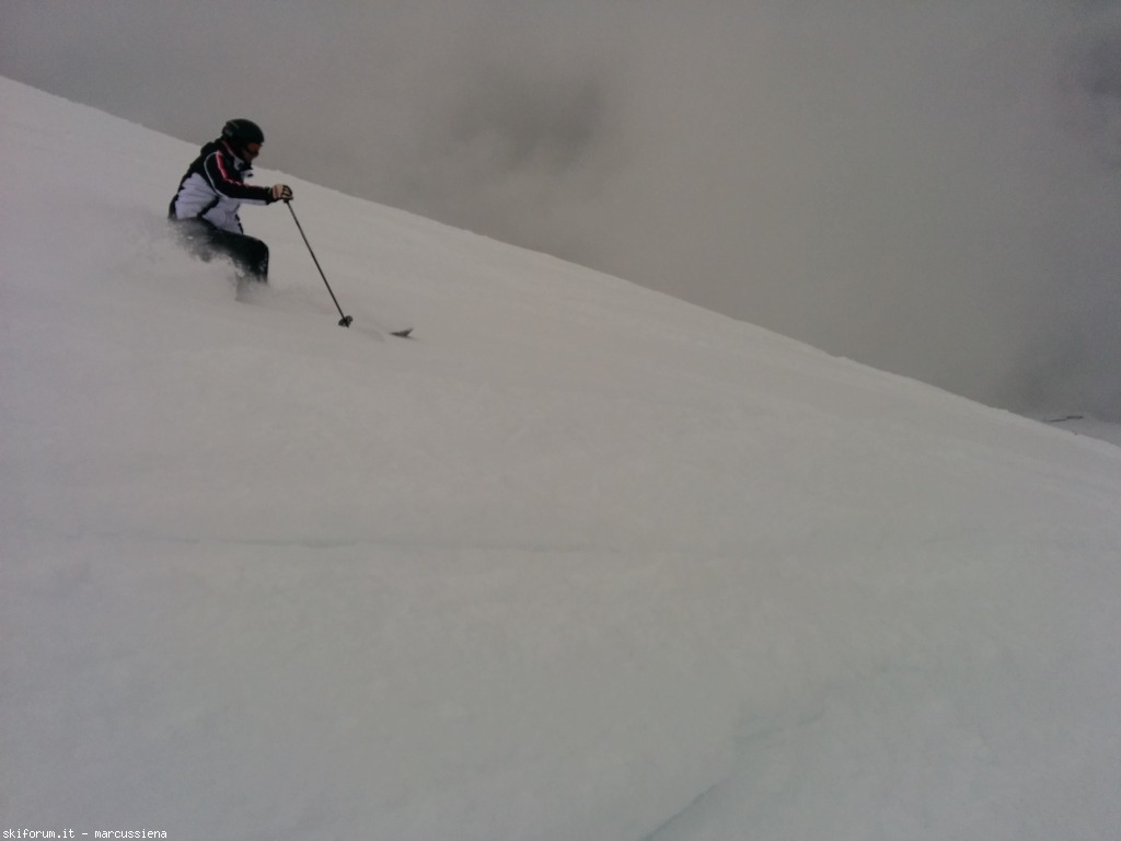 141954-img20150228123410.jpg