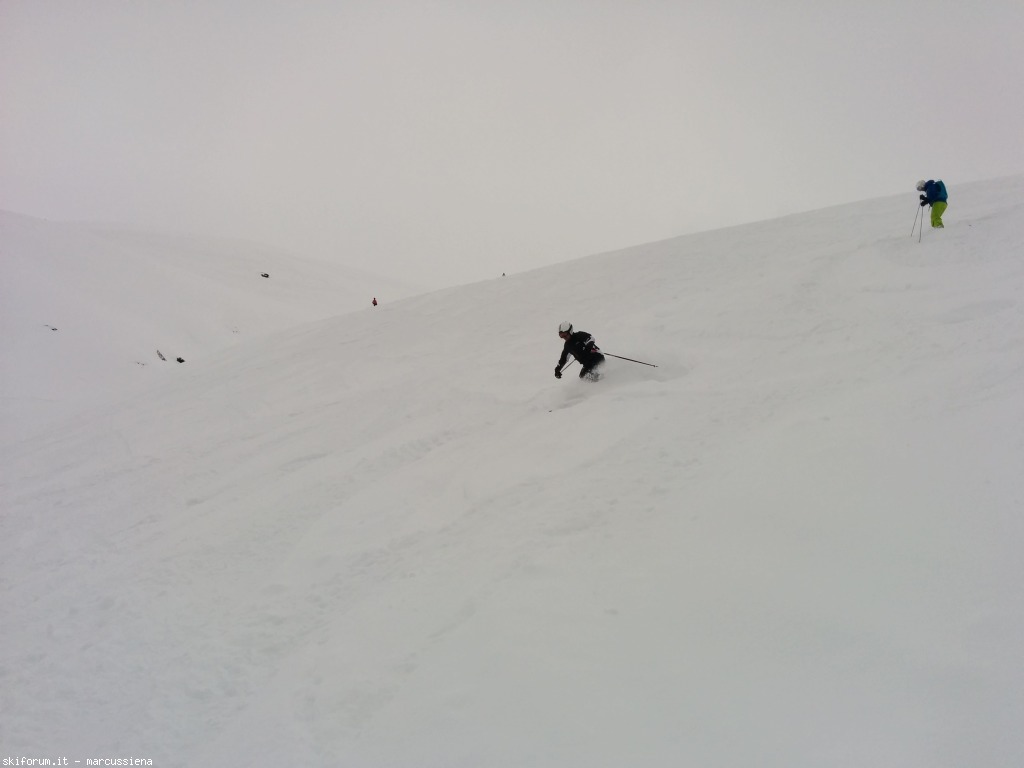 141955-img20150228123528.jpg
