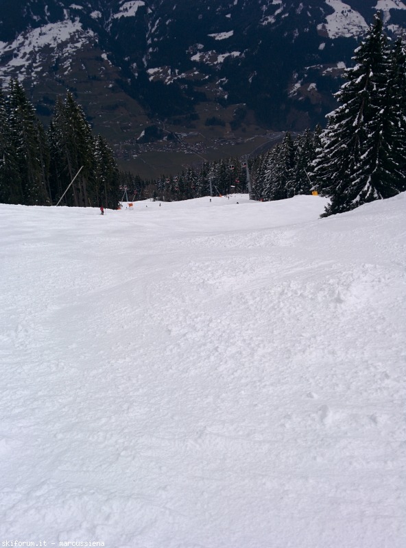141989-img20150301133951.jpg