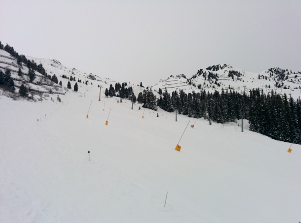 141997-img20150301091106.jpg