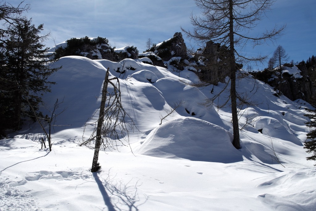 142446-foto-08-03-15-12-44-13.jpg