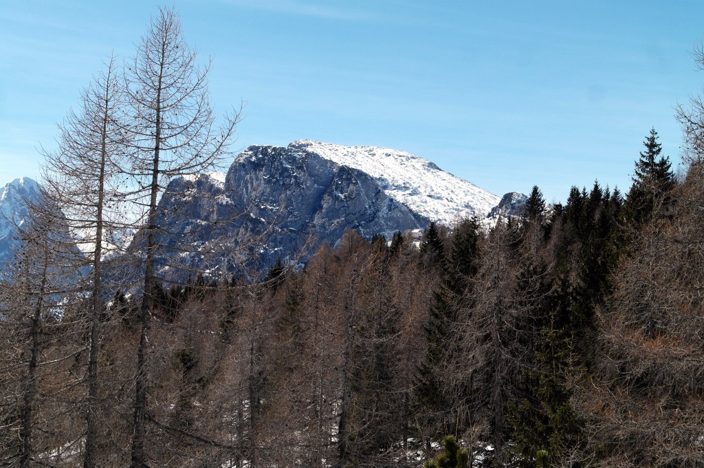 142449-foto-08-03-15-13-19-56.jpg