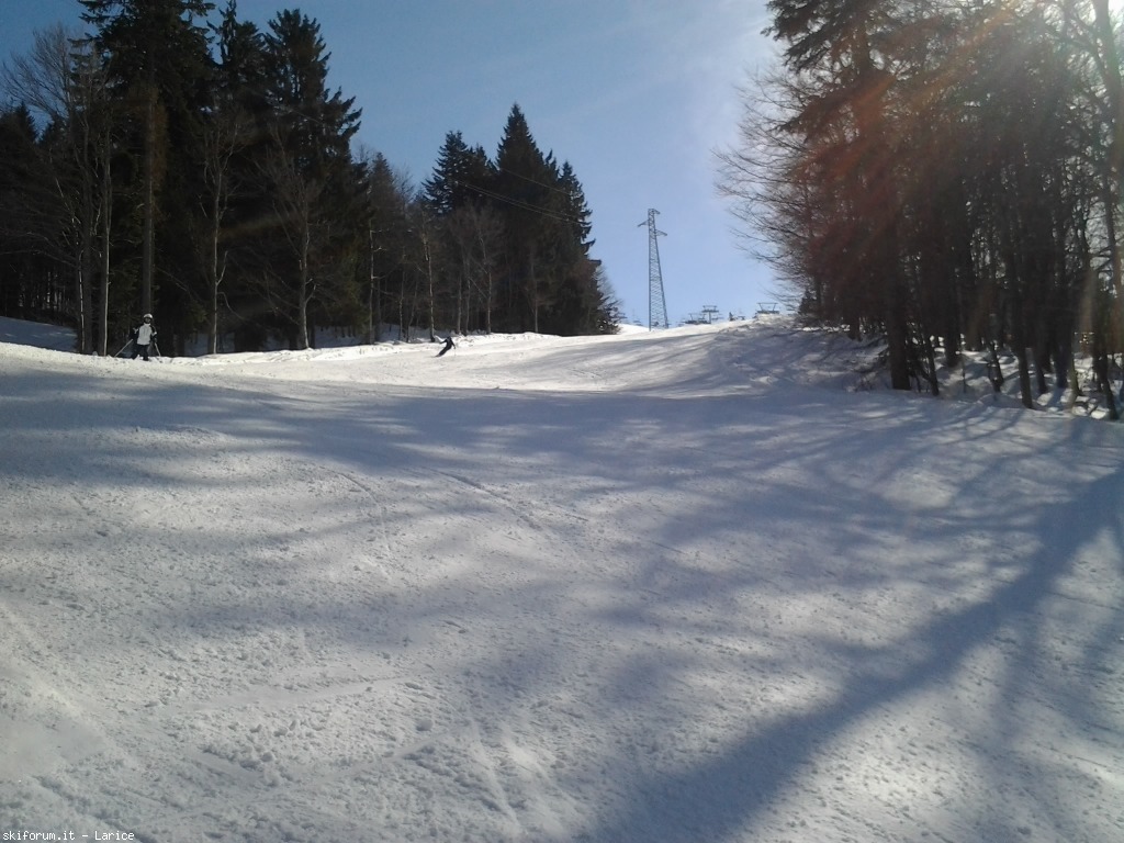142481-alpedimera-2015-03-07-14.52.50.jpg