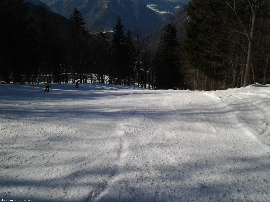 142482-alpedimera-2015-03-07-14.52.55.jpg
