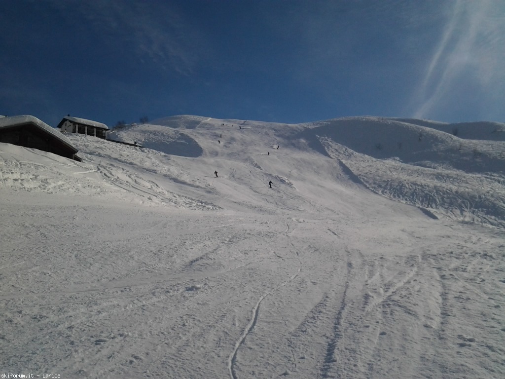 142487-alpedimera-2015-03-07-16.00.11.jpg