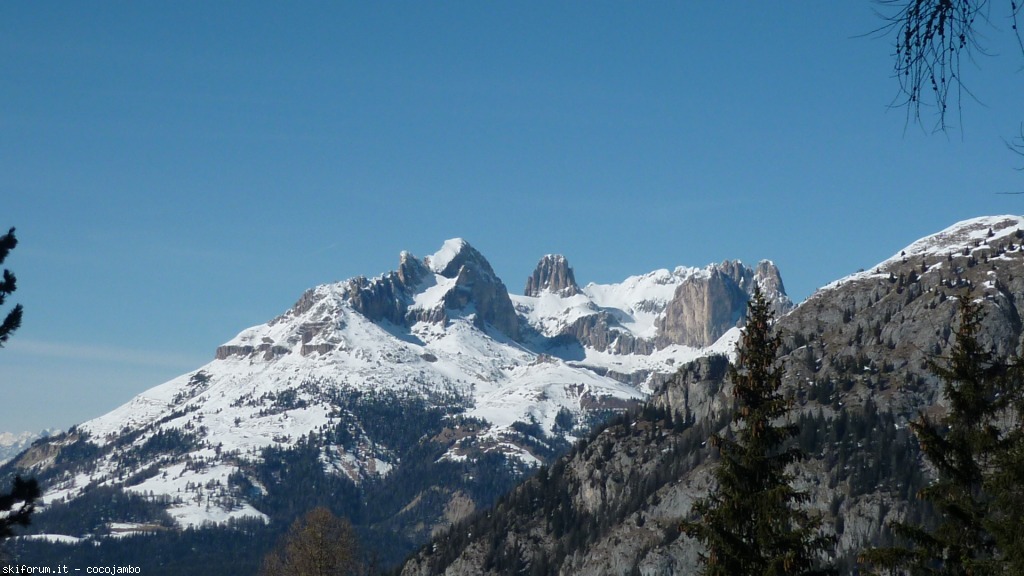 142634-p1110227.jpg