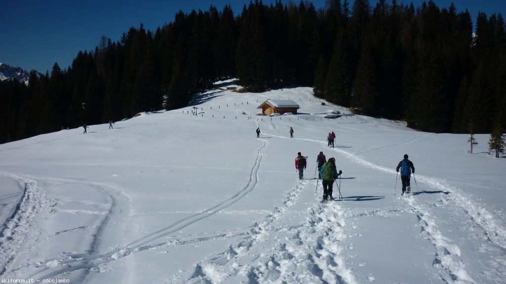 142636-p1110247.jpg